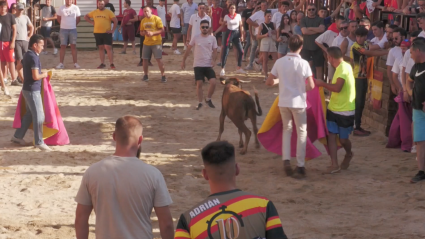 Navezuelas, Villuercas, Festejos populares, Tierra de Toros, Juan Bazaga, Canal Extremadura