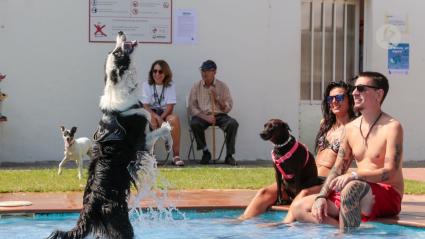 pata al agua en Mérida