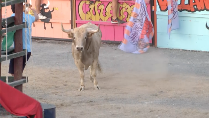 Garrovillas, Festejo Popular, Los Lastrones, Tierra de Toros, Canal Extremadura, Juan Bazaga