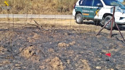 Investigan al supuesto autor del incendio que afectó a 70 hectáreas de dehesa en Burguillos del Cerro y Feria