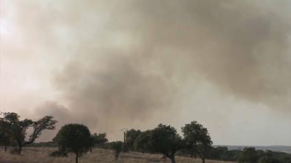 Incendio en La Aldea del Obispo