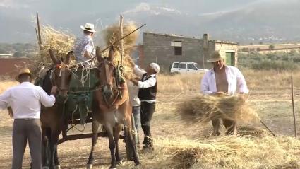 La Trilla en Valdelacasa de Tajo