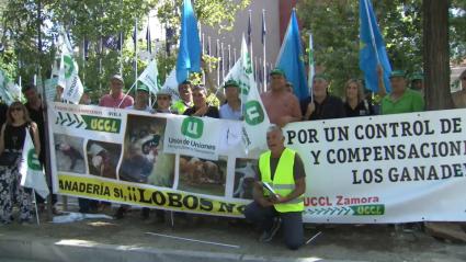 Manifestación por la protección de los lobos