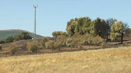 Ocho incendios en un mes en Valdecaballeros