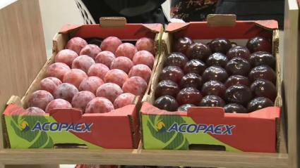 Fruta expuesta por 'ACOPAEX' en la Feria Fruit Attraction 2024