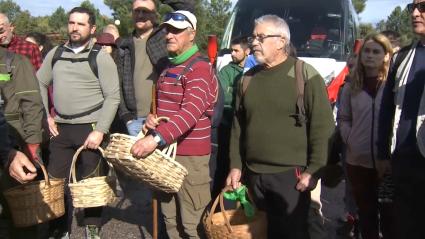 Valencia de Alcántara celebra el Día de la Seta de Extremadura