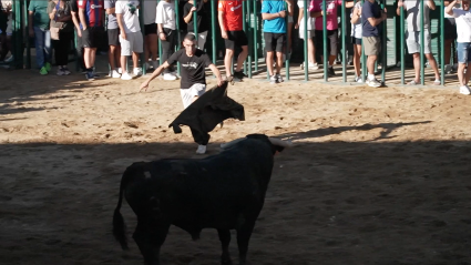 ZANCA, RECORTADOR EXTREMEÑO, FESTEJO POPULAR, JUAN BAZAGA, TIERRA DE TOROS, CANAL EXTREMADURA