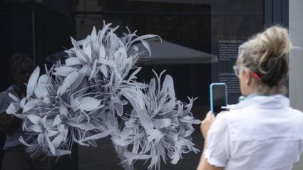 La exposición 'Nanocosmos' recala en Badajoz con una mirada diferente sobre la flora y la fauna en su escala más pequeña