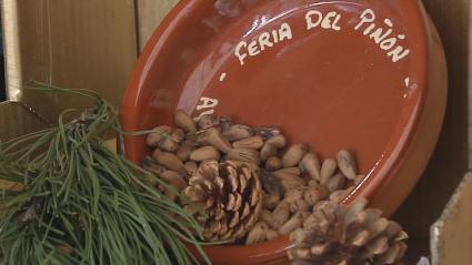 Piñones de Calera de León