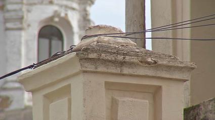 Hornito de Santa Eulalia tras el incidente en la Cabalgata de Reyes