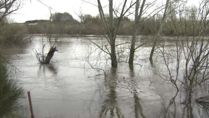 Desactivada la fase de emergencia del Plan Especial de Protección Civil de Riesgo de Inundaciones en Extremadura