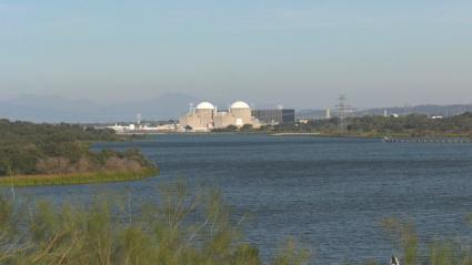 as centrales nucleares Ascó y Vandellós (Tarragona) han notificado al Consejo de Seguridad Nuclear (CSN) el cese de la situación de prealerta de emergencia, al haber recuperado de forma estable la alimentación eléctrica desde el exterior. Las centrales Almaraz (Cáceres) y Cofrentes (Valencia) también han recuperado el suministro eléctrico exterior pero mantienen la situación de prealerta -según sus Planes de Emergencia Interior (PEI)-. La planta nuclear Trillo (Guadalajara), parada por recarga de combusti