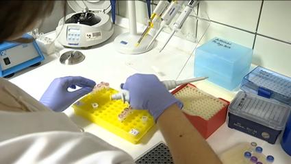 Programa MEDEA de farmacogenética
