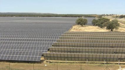 Planta solar de Talayuela