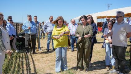 La consejera de Agricultura, Ganadería y Desarrollo Sostenible, Mercedes Morán, ha inaugurado este viernes la primera edición de la Feria de Ganado de Torremocha, evento al que ha calificado como "un testimonio del espíritu emprendedor y del profundo arraigo de esta tierra con la actividad ganadera". Morán también ha destacado la "importancia fundamental" del sector ganadero para la economía, el mantenimiento del mundo rural y la vida de muchas familias extremeñas. Por ello, ha felicitado al Ayuntamiento