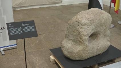 El Museo de Cáceres incorpora a su colección un verraco betón perromano recuperado del embalse de Valdecañas