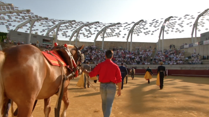 Llerena festival taurino, Tierra de Toros, Canal Extremadura, Juan Bazaga