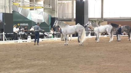 Ecuextre, en IFEBA, Badajoz