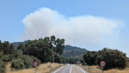 El Infoex interviene con cinco medios aéreos en un incendio en Arroyomolinos