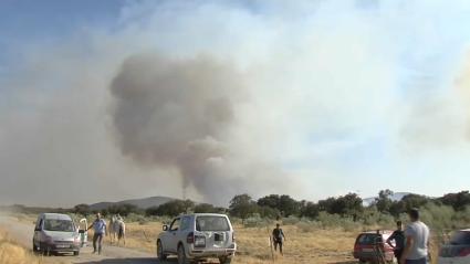 El Infoex declara el nivel 1 en el incendio de Arroyomolinos