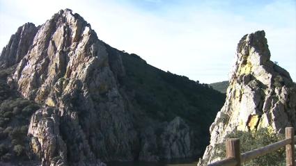 Tragsa realizará trabajos de conservación de especies protegidas y de control de invasoras en Monfragüe