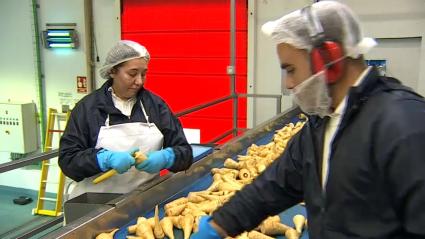La Junta destaca que en los dos últimos años se han aprobado 155 planes de igualdad laboral, un 122% más
