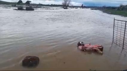 Concluyen los trabajos de acondicionamiento del río Ortiga tras los daños provocados por las lluvias de marzo