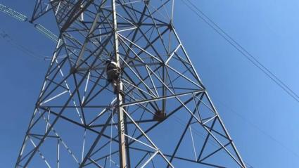 SEO/BirdLife pide colaboración para evaluar impacto en aves del tendido eléctrico en puntos de la Red Natura