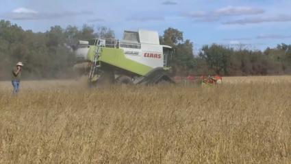 La Junta se adhiere a la reivindicaciones que el sector arrocero extremeño ha trasladado al ministro de Agricult