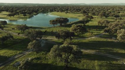 Ecologistas en Acción rechaza la recalificación de 18.000 hectáreas para un residencial de lujo en Campo Arañuelo