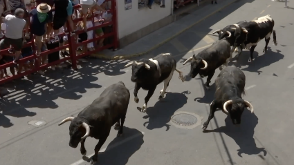 Enciero Monteviejo, Victorino Patas Blncas, Juan Bazaga, Tierra de Toros, Canal Extremadura