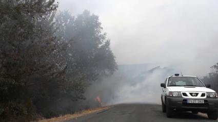 El Gobierno activado la Fase de Preemergencia del Plan Estatal ante los incendios