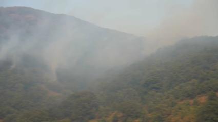 El PSOE pedirá un pleno monográfico en la Asamblea sobre la gestión de la extinción de los incendios en Extremadura