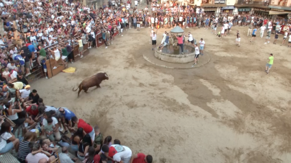 Guadalupe, Tierra de Toros, CAnal Extremadura, Juan Bazaga