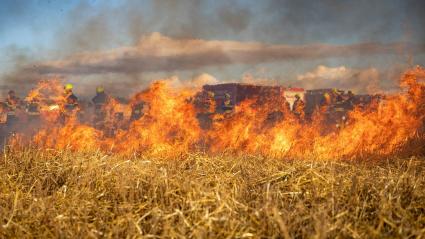 Imagen de unos terrenos incendiados