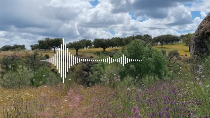 Forma de onda sobre paisaje extremeño 