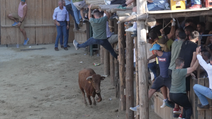 CApeas Segura de León, Tierra de Toros, Canal Extremadura, Juan Bazaga