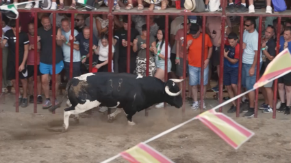 Serradilla toros populares, Tierra de Toros, Canal Extemadura, Juan Bazaga