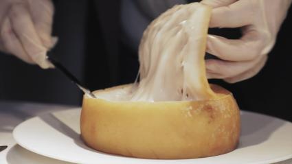 Torta del Casar lista para ser catada