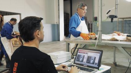 Técnicos trabajando con inteligencia artificial y pieles de cordero