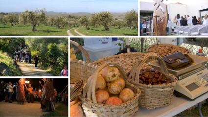 Opciones de ocio para este fin de semana