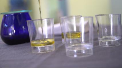 Cata del aceite de oliva de Monterrubio