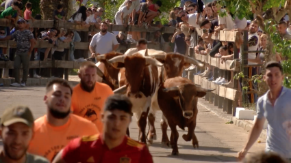 Encierros Entrerríos, Canal Extremadura, Tierra de Toros, Juan Bazaga