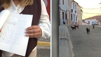 Los perros de una vecina dificultan la convivencia en Zarza la Mayor