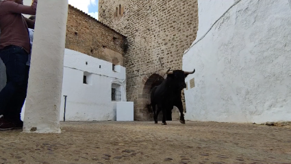 Fregenal de la Sierra, Tierra de Toros, Canal Extremadura, Juan Bazaga