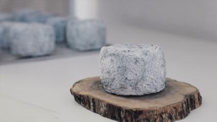 Quesos artesanos listos para ser consumidos