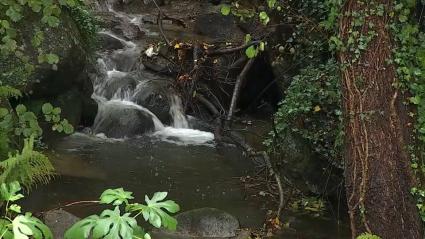 Otoño mágico en el Valle del Ambroz - Imagen de archivo.