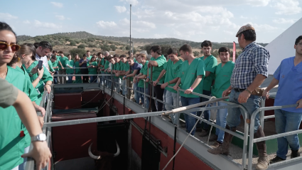 Simposio Zafra Toro de Lidia, Tierra de Toros, Canal Extremadura, Antonio Albarrán, Juan Bazaga