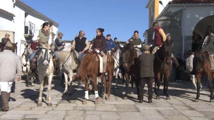 Caballos durante la Fiesta de 'La Borrasca' en Ceclavín
