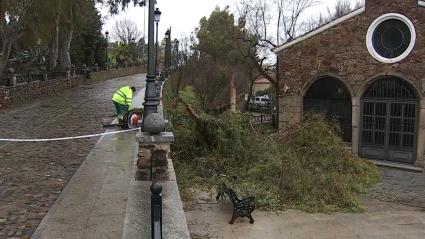Trabajos en Cáceres